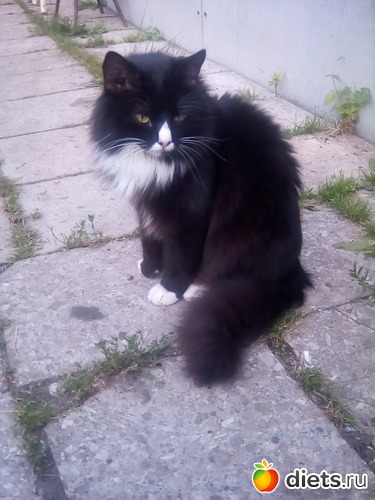 27 ����: ��� �������