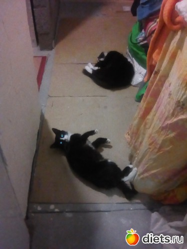 ���� � ����, ������: ��� �������