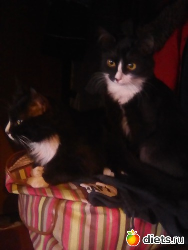 33 ����: ��� �������