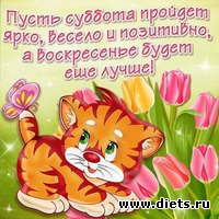 Забег по системе " Минус 60". отчёт по питанию за 06.10.2018