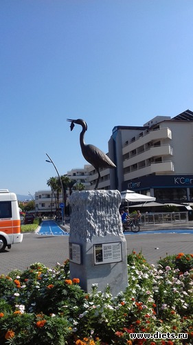 23 ����: ������2018