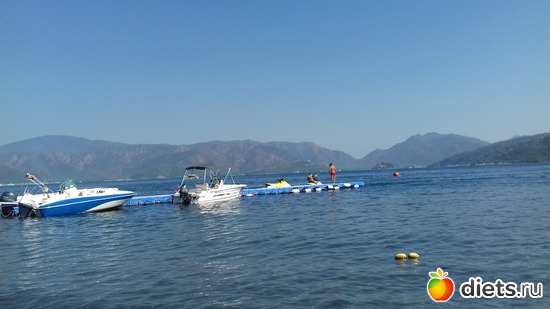 26 ����: ������2018