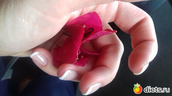 28 фото: Турция2018