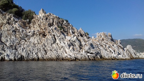 23 ����: ������2018 ����� 2