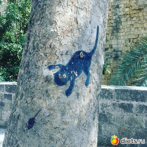 10 ����: ������ �����