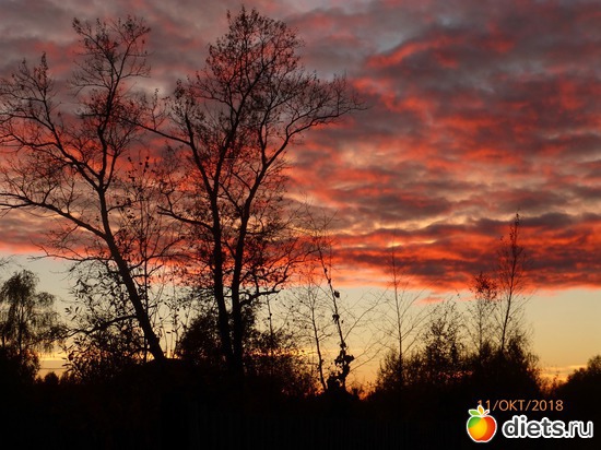 17 фото: Осень в Волхове, 2018