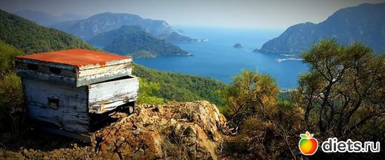 8 ����: ������2018 ����� 3