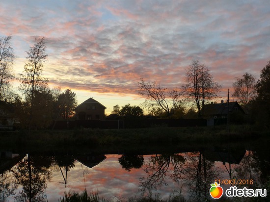 13 фото: Осень в Волхове, 2018