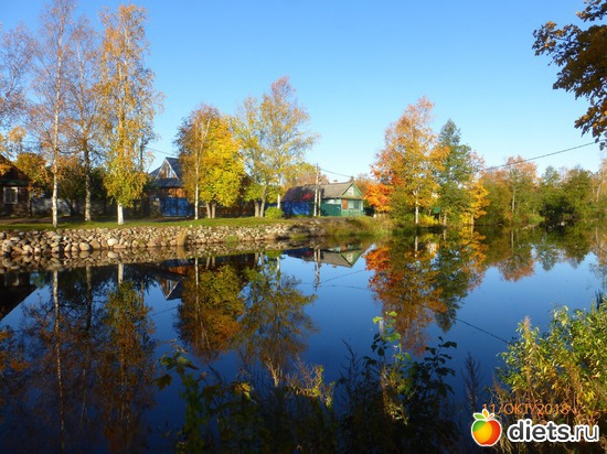 14 ����: ����� � �������, 2018