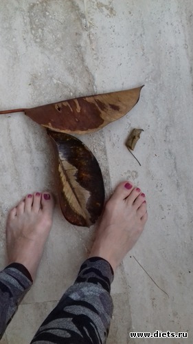 11 ����: ������2018 ����� 3