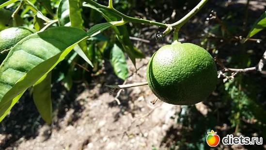 12 ����: ������2018 ����� 4