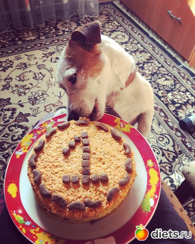 16 ����: ������2018 ����� 4