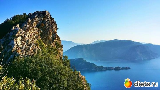 20 ����: ������2018 ����� 4