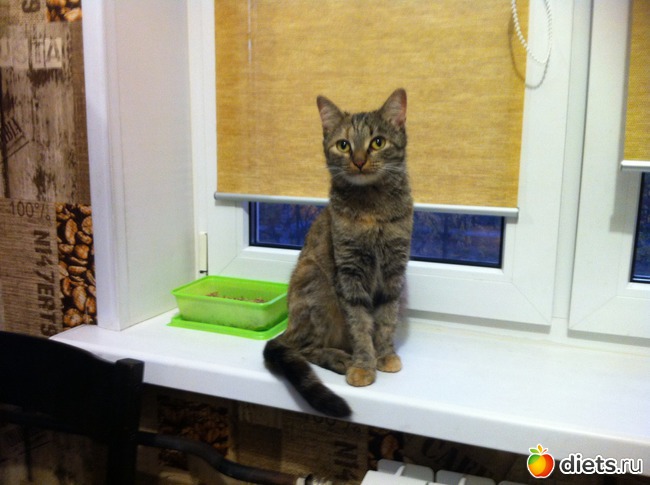 ���� 3: ��� � �����. �����.