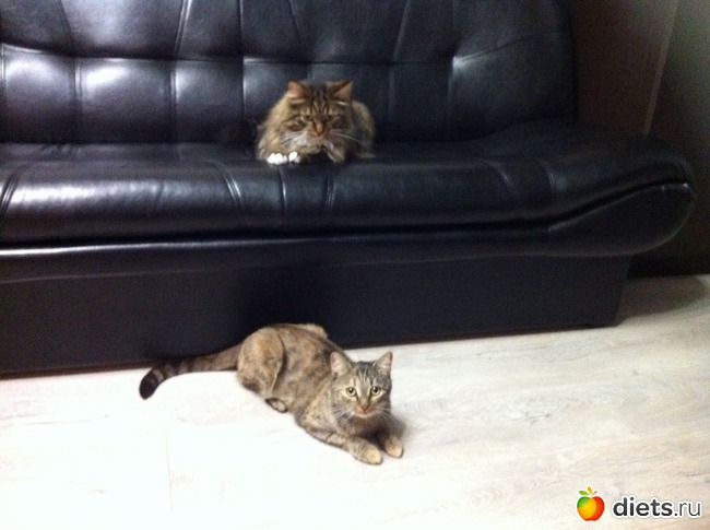 ���� 1: ��� � �����. �����.