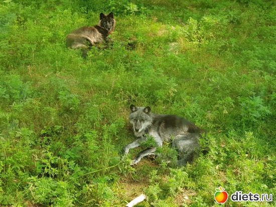 1 ����: ��� � �����