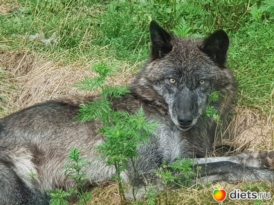 2 ����: ��� � �����