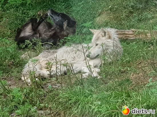 3 ����: ��� � �����