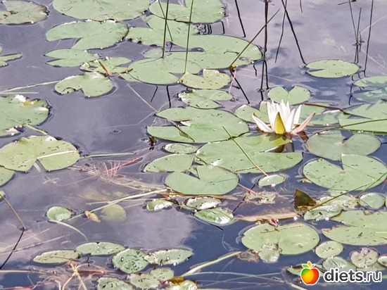 5 ����: ��� � �����