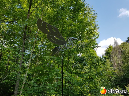 10 ����: ��� � �����