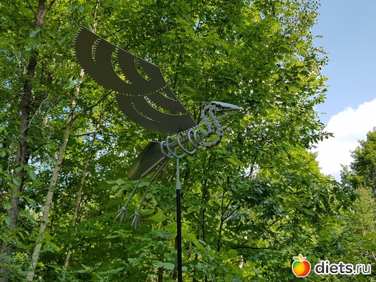 11 ����: ��� � �����