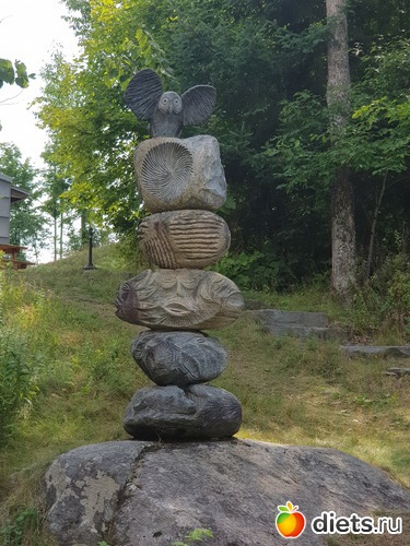 7 ����: ��� � �����