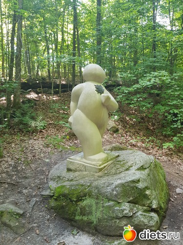 9 фото: Лес и волки