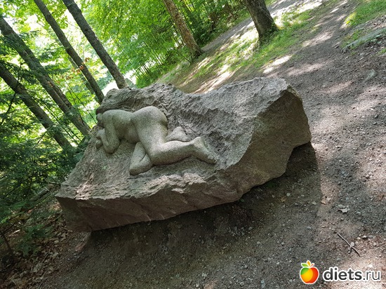 14 ����: ��� � �����