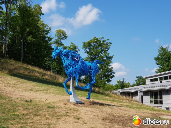 15 ����: ��� � �����