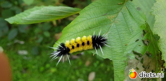 17 ����: ��� � �����