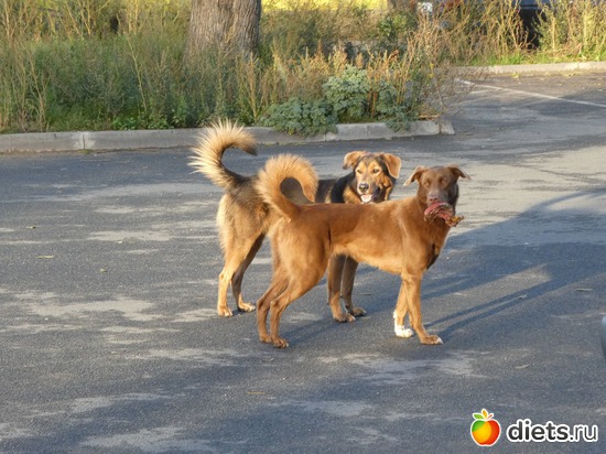 18 ����: ����� � �������, 2018