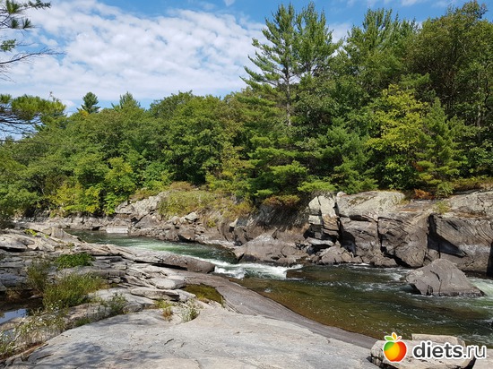 20 ����: ��� � �����