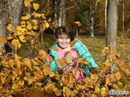 20 ����: ����� � �������, 2018