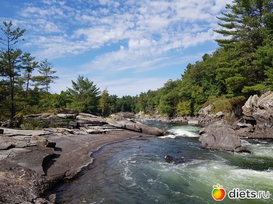 22 ����: ��� � �����