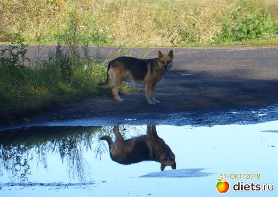 21 ����: ����� � �������, 2018