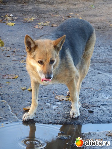 22 ����: ����� � �������, 2018