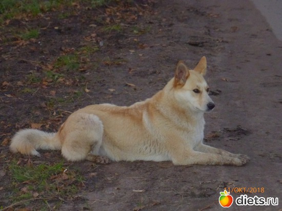 23 фото: Осень в Волхове, 2018
