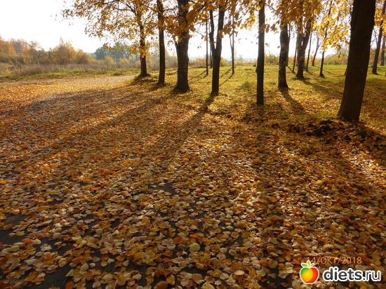 24 ����: ����� � �������, 2018