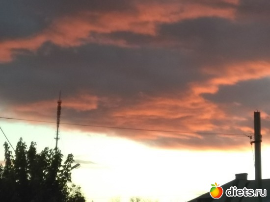 1 ����: ��������