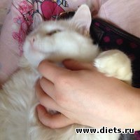 ��� ��� ������