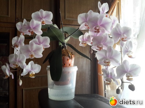 � � ��� �������