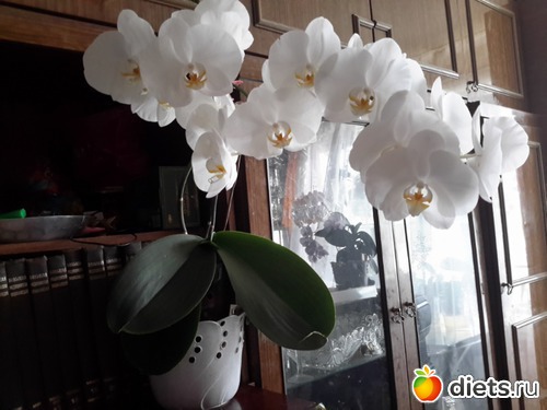 � � ��� �������