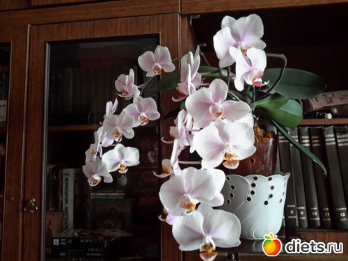 � � ��� �������