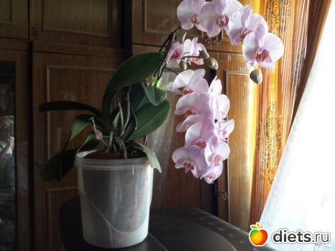 � � ��� �������