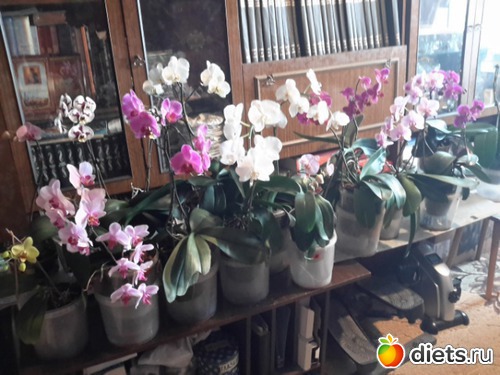 � � ��� �������