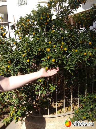 Октябрь, 2018, альбом: Мой город