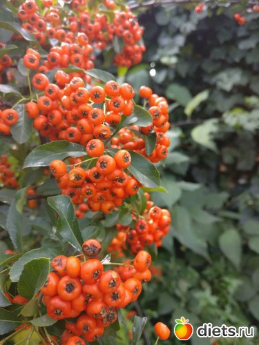 Октябрь, 2018, альбом: Мой город