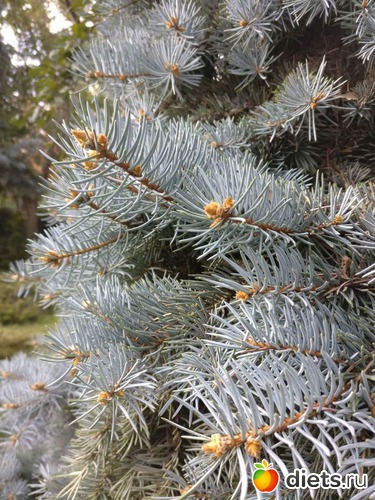 Октябрь, 2018, альбом: Мой город