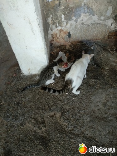 Октябрь, 2018, альбом: Мой город