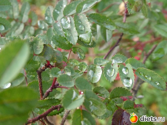 26 фото: Осень в Волхове, 2018